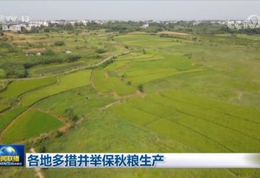 各地多措并举保秋粮生产