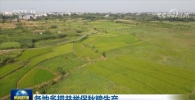 各地多措并举保秋粮生产