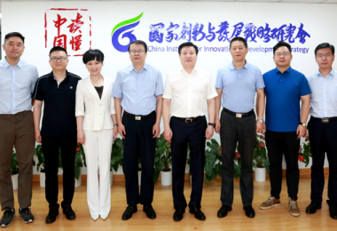 朱玉副会长带队赴国家创新与发展战略研究会学习交流